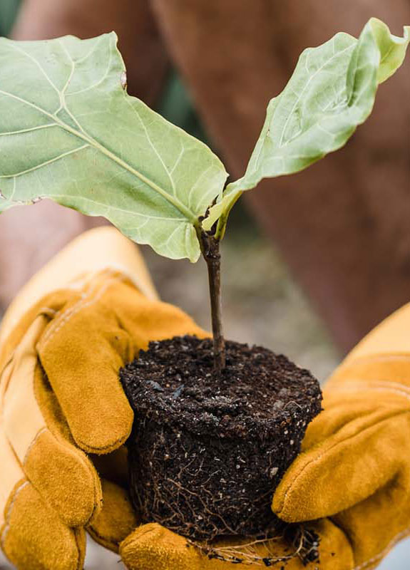 protección ambiente